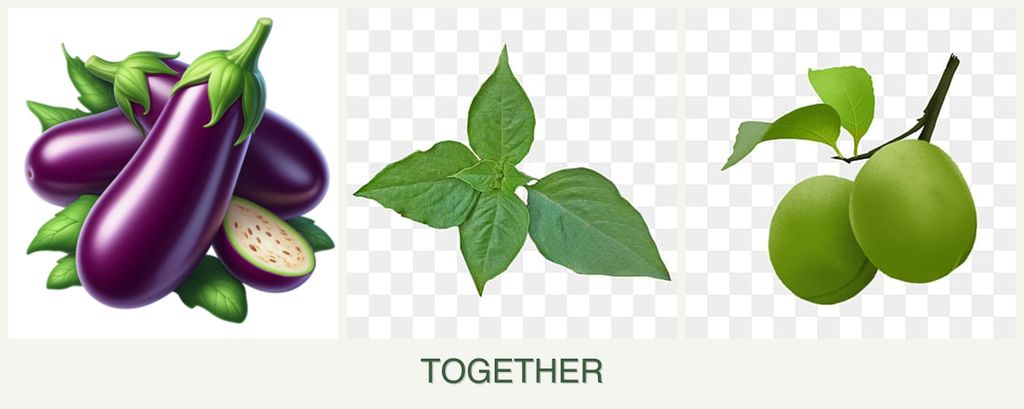 Can you plant eggplant, basil and plums together?