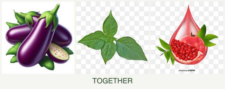 Can you plant eggplant, basil and pomegranates together?