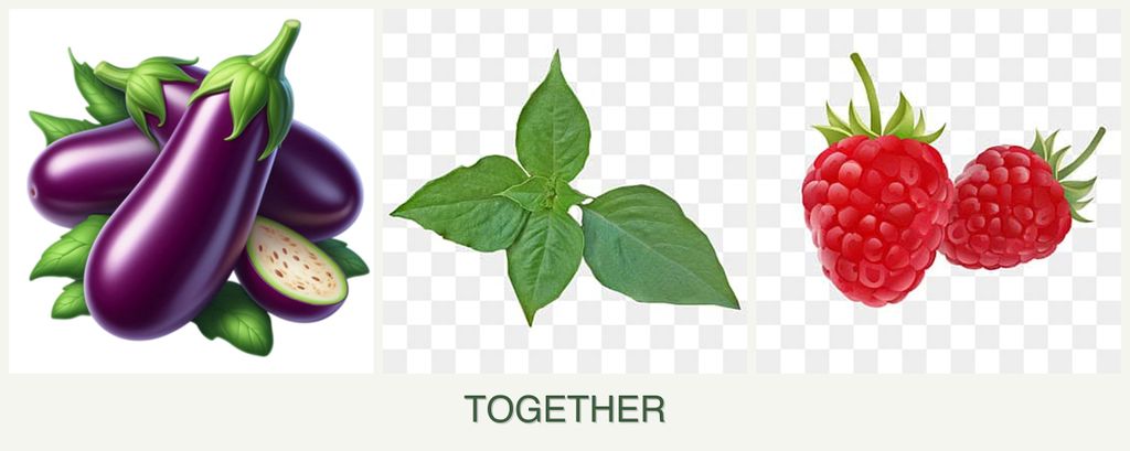 Can you plant eggplant, basil and raspberries together?