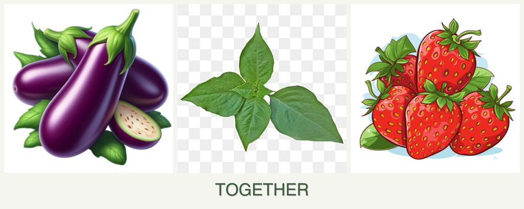 Can you plant eggplant, basil and strawberries together?
