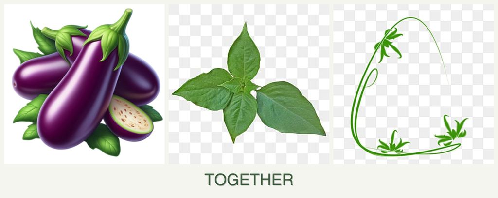 Can you plant eggplant, basil and tarragon together?
