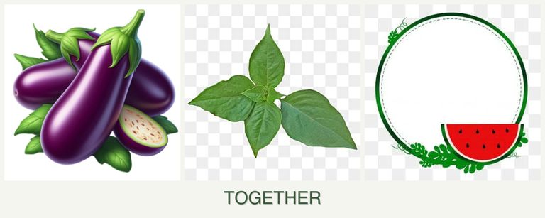 Can you plant eggplant, basil and watermelons together?