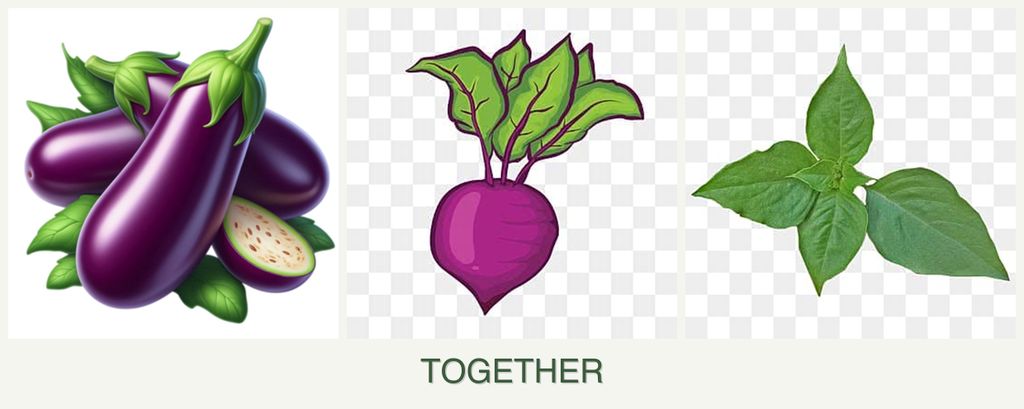 Can you plant eggplant, beets and basil together?