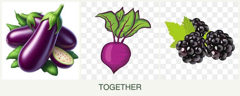 Can you plant eggplant, beets and blackberries together?