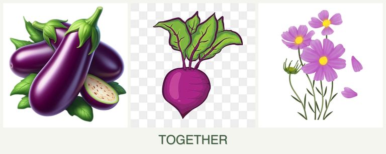 Can you plant eggplant, beets and cosmos together?