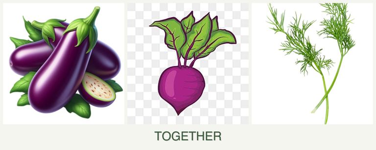 Can you plant eggplant, beets and dill together?