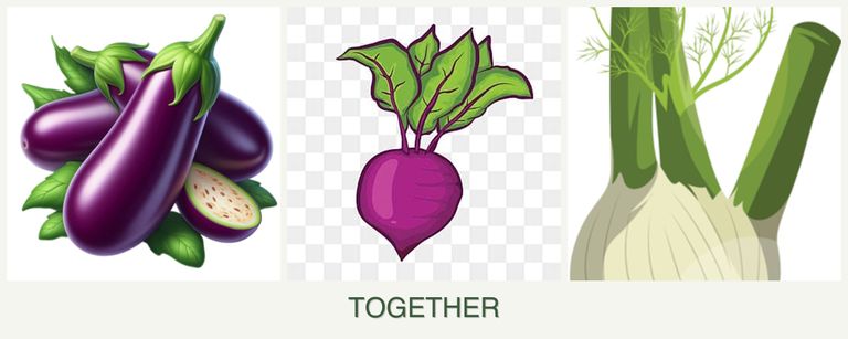 Can you plant eggplant, beets and fennel together?