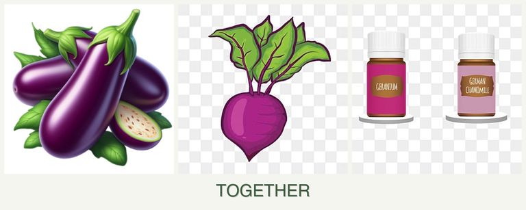 Can you plant eggplant, beets and geraniums together?