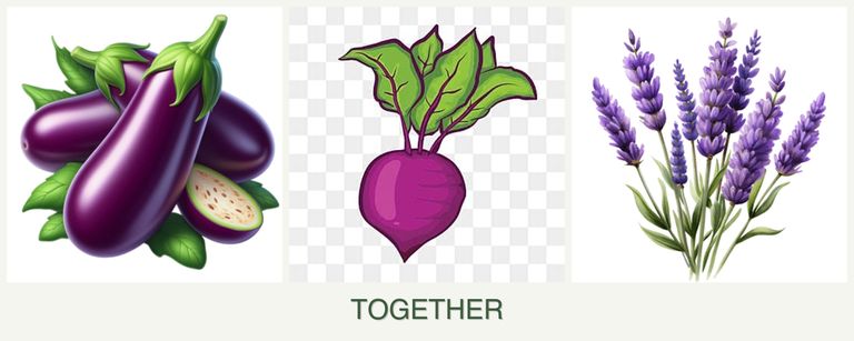 Can you plant eggplant, beets and lavender together?