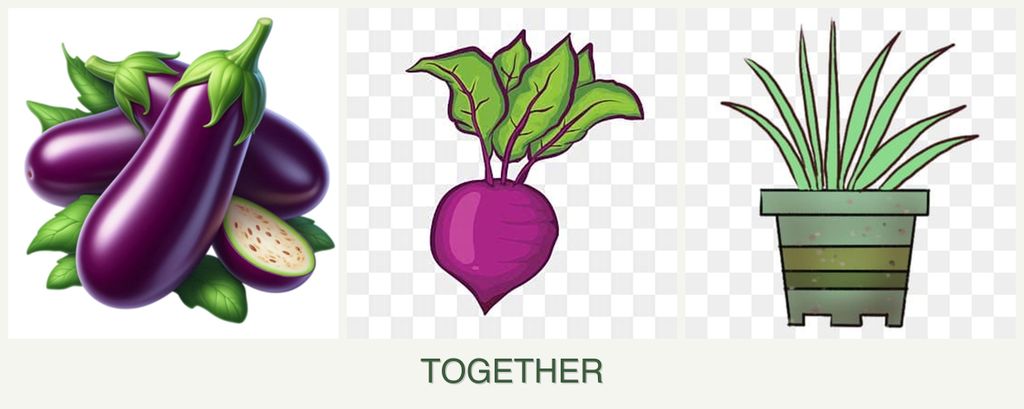 Can you plant eggplant, beets and lemongrass together?