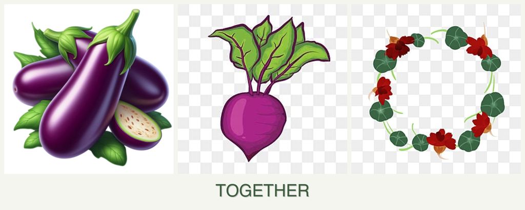 Can you plant eggplant, beets and nasturtiums together?