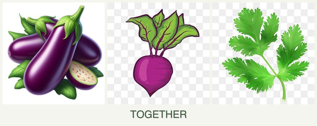 Can you plant eggplant, beets and parsley together?