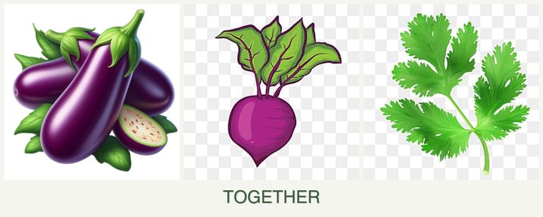 Can you plant eggplant, beets and parsley together?
