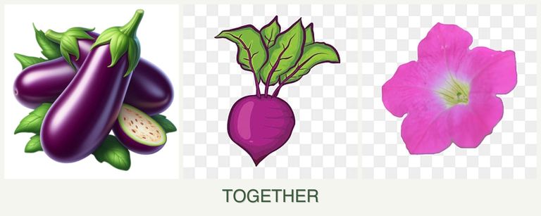 Can you plant eggplant, beets and petunias together?