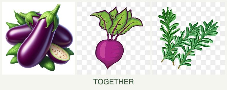Can you plant eggplant, beets and rosemary together?