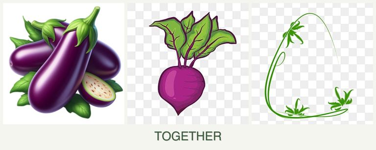 Can you plant eggplant, beets and tarragon together?