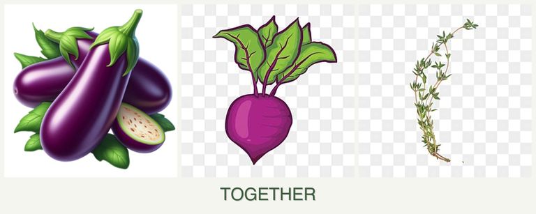 Can you plant eggplant, beets and thyme together?