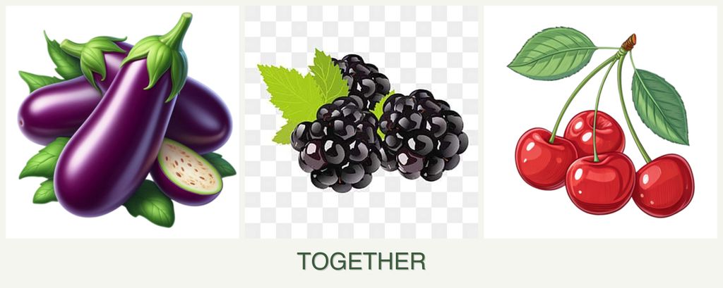 Can you plant eggplant, blackberries and cherries together?