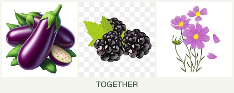 Can you plant eggplant, blackberries and cosmos together?