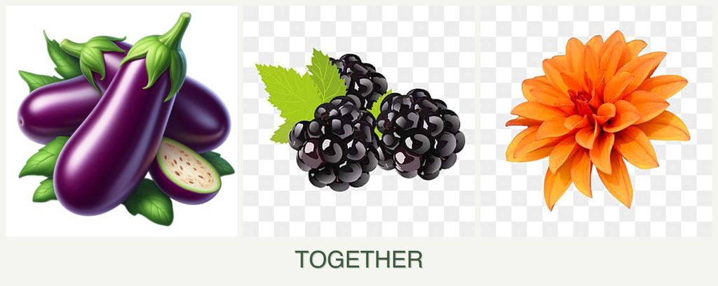 Can you plant eggplant, blackberries and dahlias together?