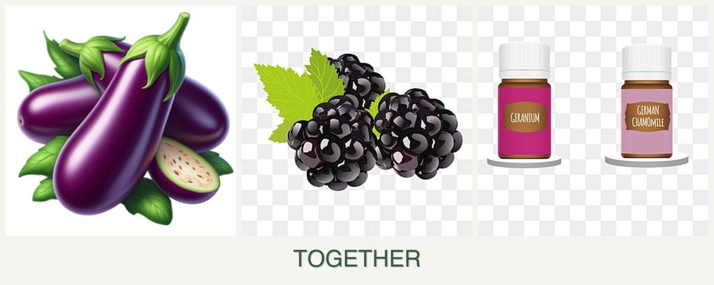 Can you plant eggplant, blackberries and geraniums together?