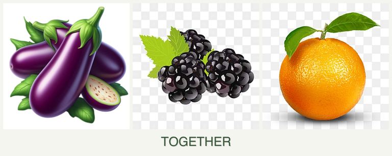 Can you plant eggplant, blackberries and oranges together?
