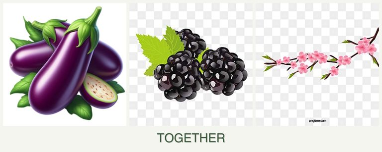 Can you plant eggplant, blackberries and peaches together?