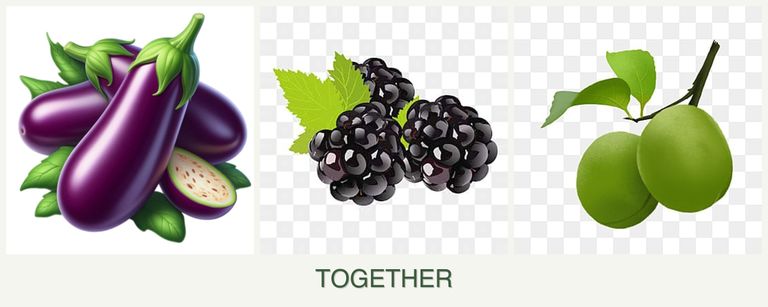 Can you plant eggplant, blackberries and plums together?