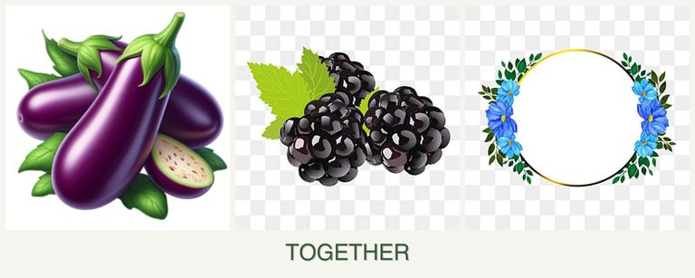Can you plant eggplant, blackberries and zinnias together?