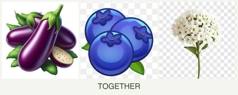 Can you plant eggplant, blueberries and alyssum together?