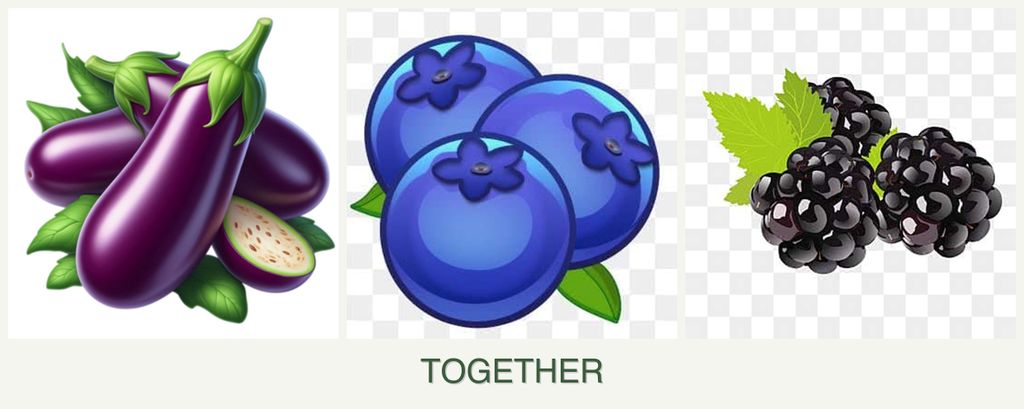 Can you plant eggplant, blueberries and blackberries together?