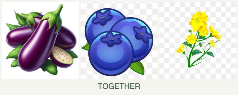 Can you plant eggplant, blueberries and calendula together?