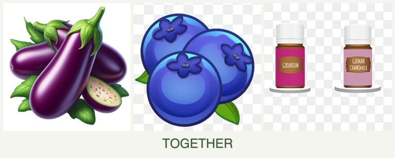 Can you plant eggplant, blueberries and geraniums together?