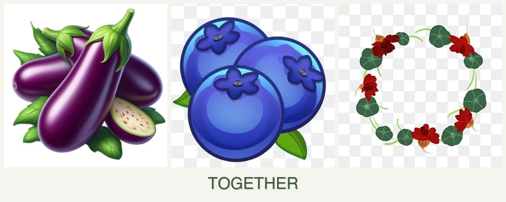 Can you plant eggplant, blueberries and nasturtiums together?