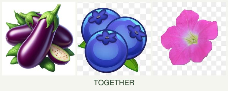 Can you plant eggplant, blueberries and petunias together?