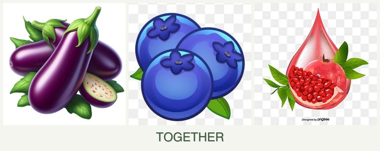 Can you plant eggplant, blueberries and pomegranates together?