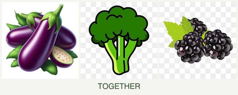 Can you plant eggplant, broccoli and blackberries together?