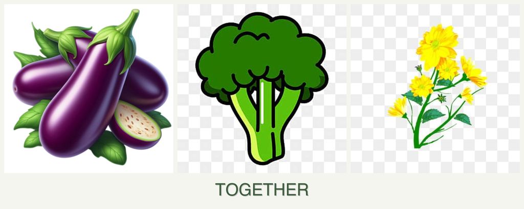 Can you plant eggplant, broccoli and calendula together?