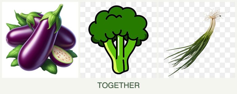Can you plant eggplant, broccoli and chives together?
