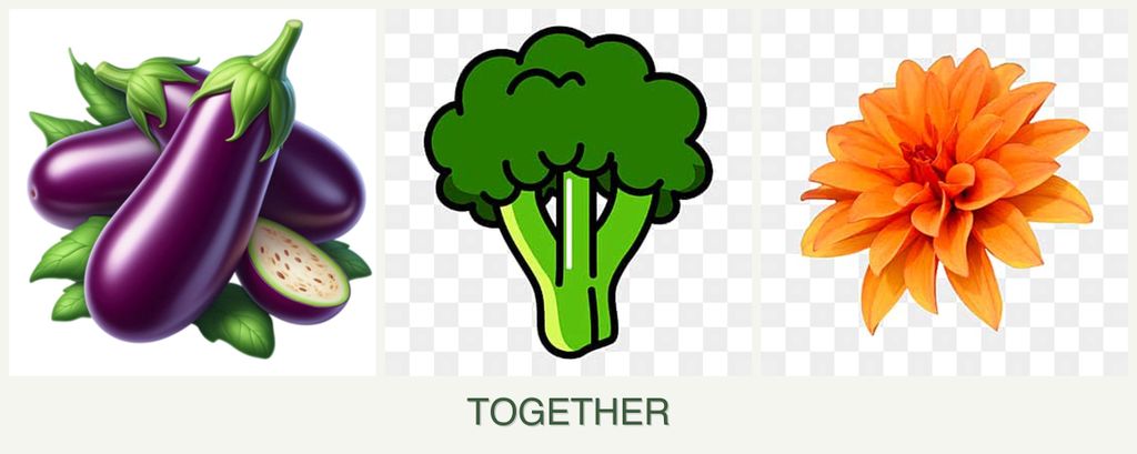 Can you plant eggplant, broccoli and dahlias together?