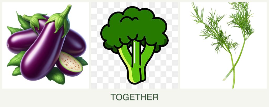 Can you plant eggplant, broccoli and dill together?