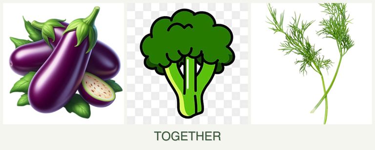 Can you plant eggplant, broccoli and dill together?