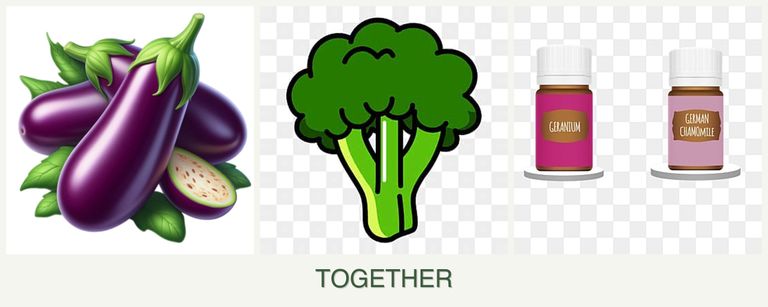 Can you plant eggplant, broccoli and geraniums together?