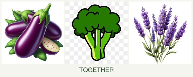 Can you plant eggplant, broccoli and lavender together?