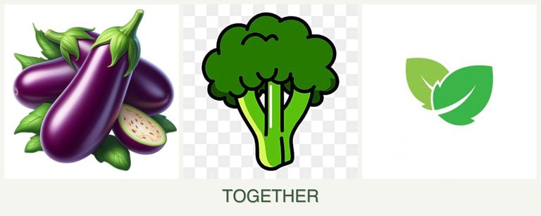 Can you plant eggplant, broccoli and mint together?