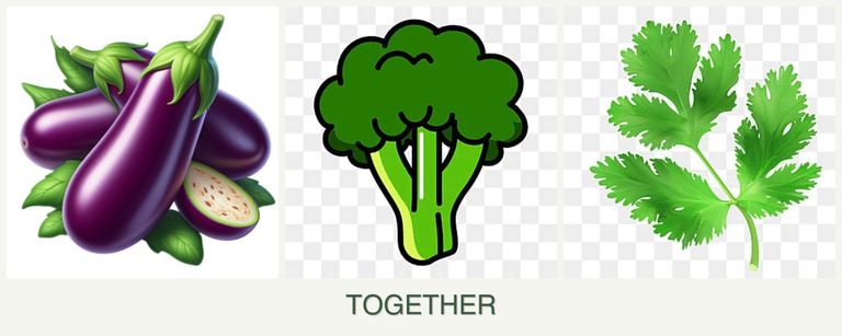 Can you plant eggplant, broccoli and parsley together?