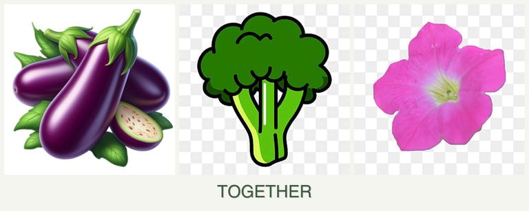 Can you plant eggplant, broccoli and petunias together?