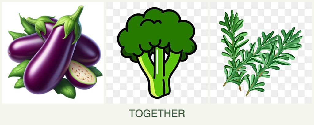 Can you plant eggplant, broccoli and rosemary together?