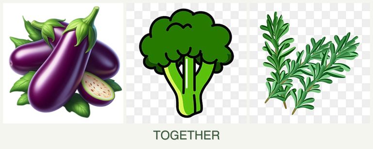 Can you plant eggplant, broccoli and rosemary together?