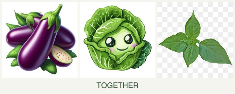 Can you plant eggplant, cabbage and basil together?